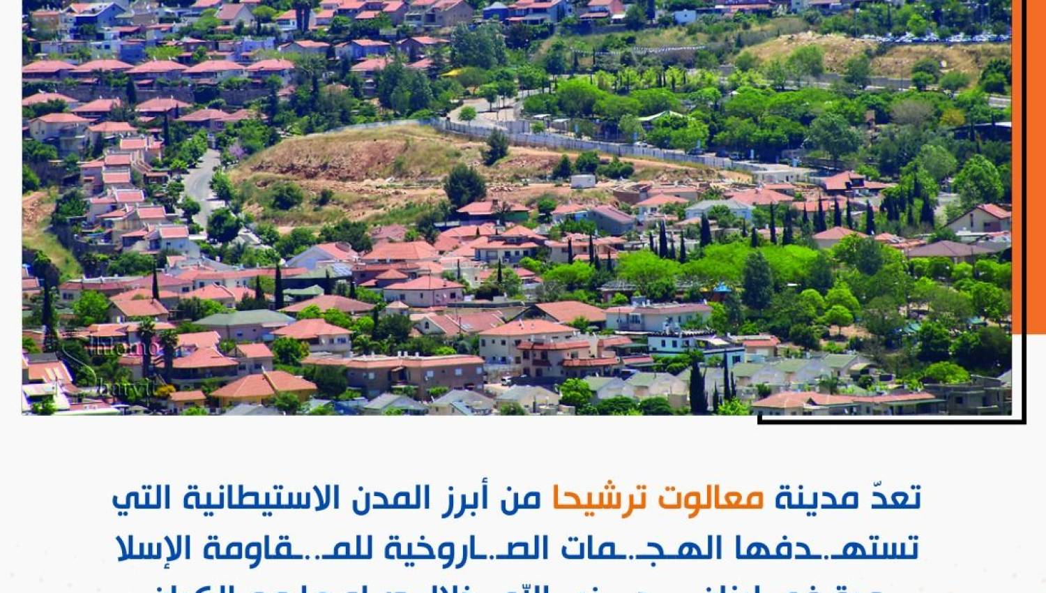 بطاقة هدف: معالوت ترشيحا